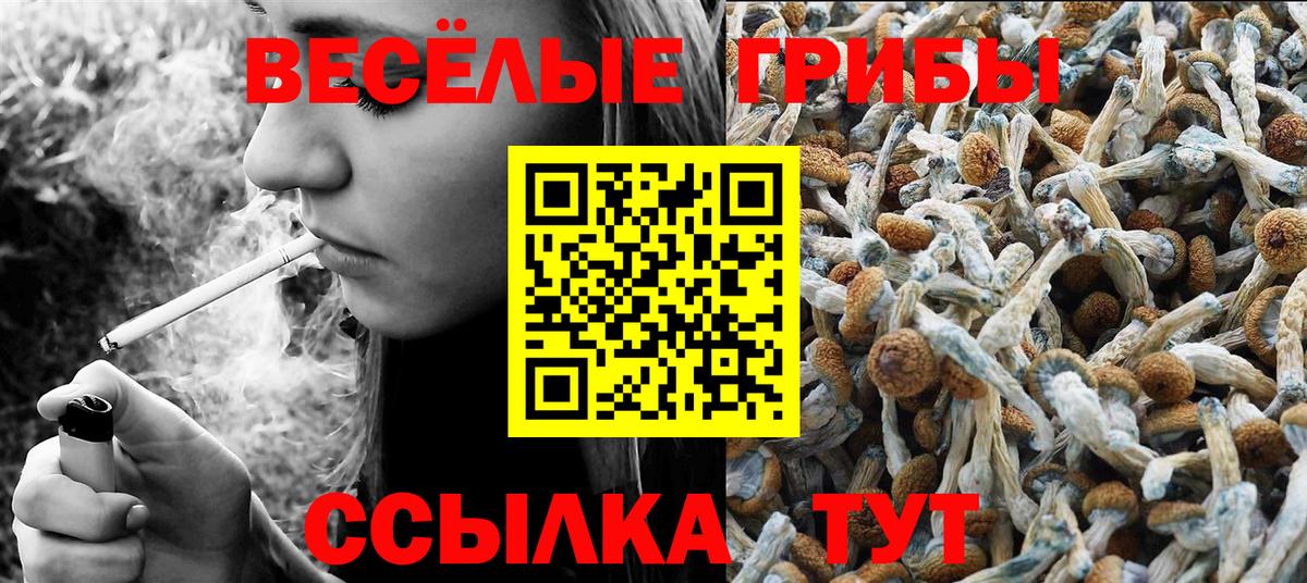Осинники  Галлюциногенные грибы ЛСД  Псилоцибиновые грибы мицелий  Вход с VPN 